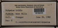 Image Associated With the Occurence